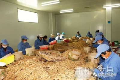 扶貧車(chē)間成就致富夢(mèng)想 --文縣扶貧車(chē)間建設(shè)綜述