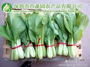深圳農產品配送,惠州蔬菜配送,深圳送菜公司,深圳蔬菜配送