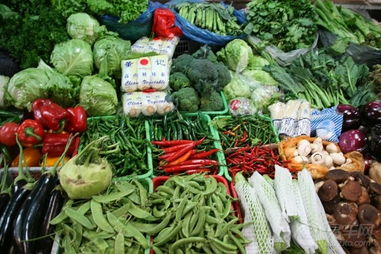 夏利社區(qū)圖片集錦