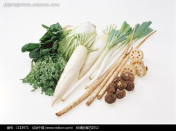 一堆新鮮的蔬菜