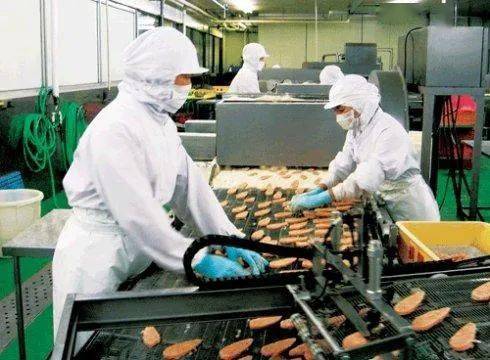 在日研修轉(zhuǎn) 特定技能1號