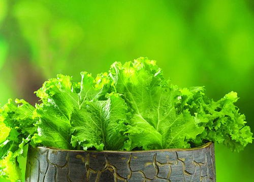 蔬菜上殘留的農(nóng)藥會影響健康 如何降低殘留量