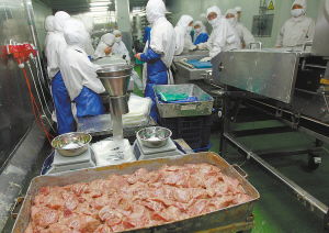 福喜 禍兮 百年老店變身黑窩點(diǎn)