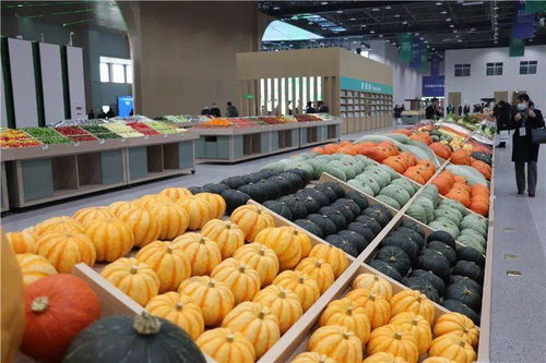 青島農(nóng)業(yè) 國(guó)際客廳 開門納客,2022年建成后預(yù)計(jì)可實(shí)現(xiàn)年產(chǎn)值約120億元