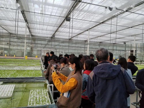 廊坊百姓的數(shù)字生活 重點(diǎn)網(wǎng)絡(luò)媒體集中采訪行走進(jìn)永清