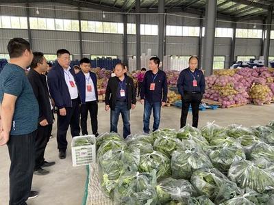 中牟縣刁家鄉(xiāng)第三季度人大代表政協(xié)委員集中活動聚焦農(nóng)副產(chǎn)品收購