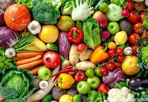 貯藏對蔬菜質地的演變及其在農副產品收購中的影響