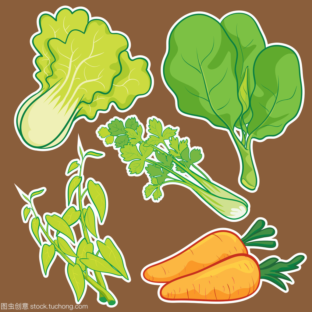 可愛的蔬菜集 農(nóng)副產(chǎn)品收購的溫馨畫卷