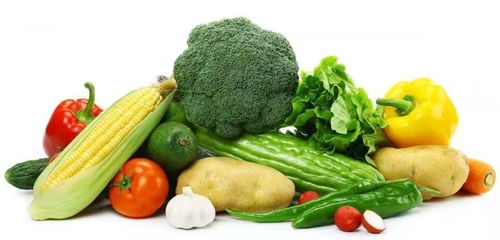 警惕餐桌上的隱形殺手 誤食問題蔬菜的健康風險與農副產品的安全監管